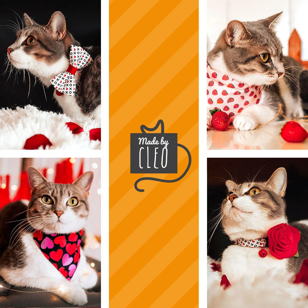 Pet Bandana - "Hey Cupcake - Mint" - Valentine's Day Cupcake Bandana for Cat   Small Dog / Birthday / Slide-on Bandana / Over-the-Collar (One Size)
