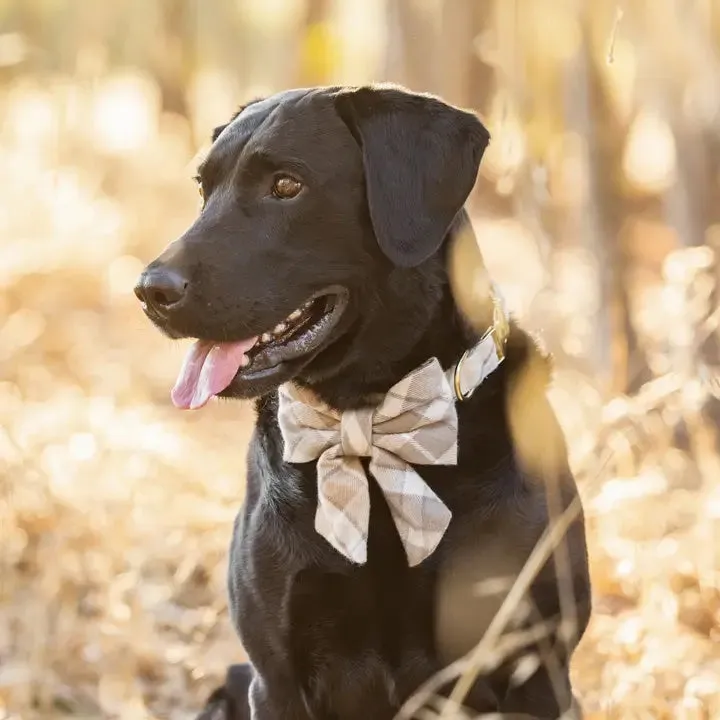The Foggy Dog - Andover Plaid Flannel Lady Bow Tie